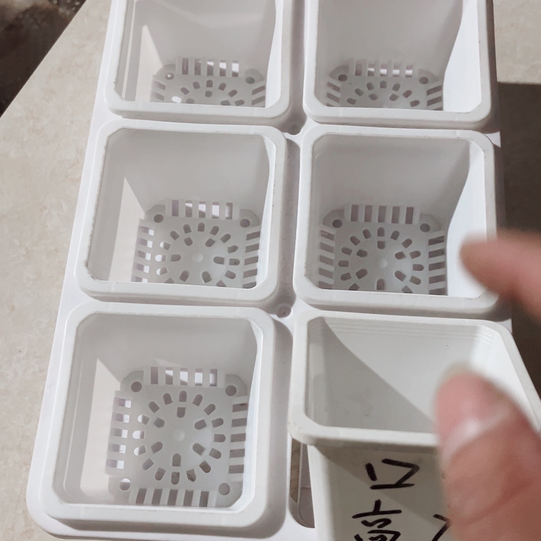 塑料福利款9方白色盆12个带2拖架