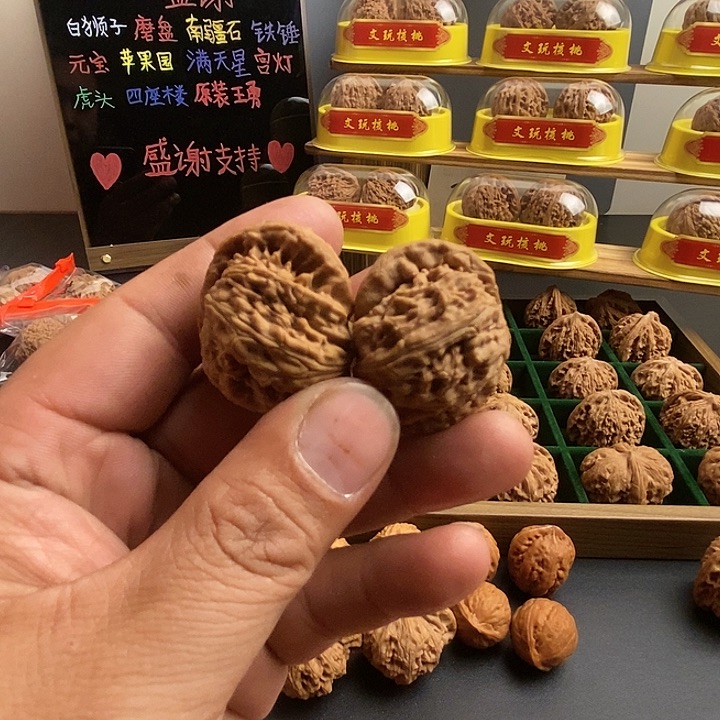 核桃小白狮子求半壁