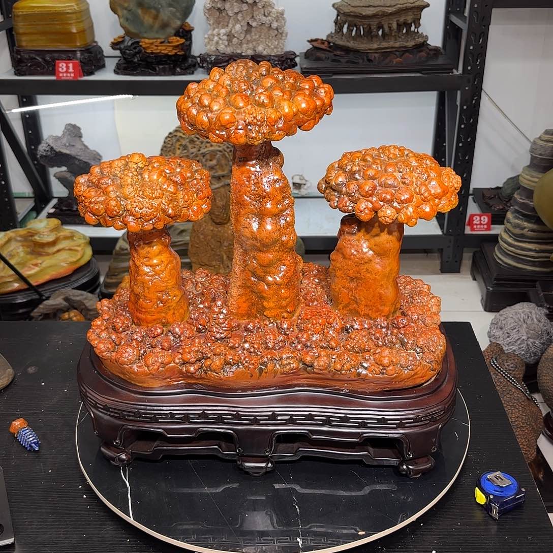 天****6石胆奇石绿植