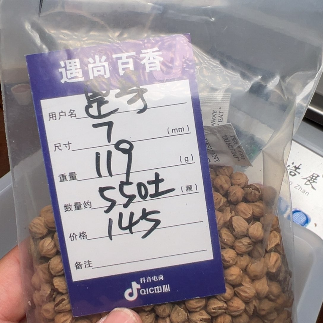 柏香籽/百香籽吊坠罡