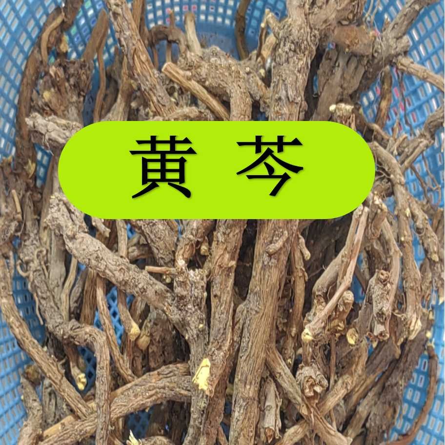 黄芩 甘肃野生黄芩 大山里采挖非种植的 假一赔十