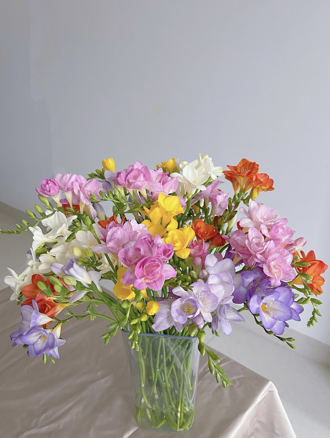 【顺鹏花坊】香雪兰(两盆）盆栽开花带香味 带花苞发货