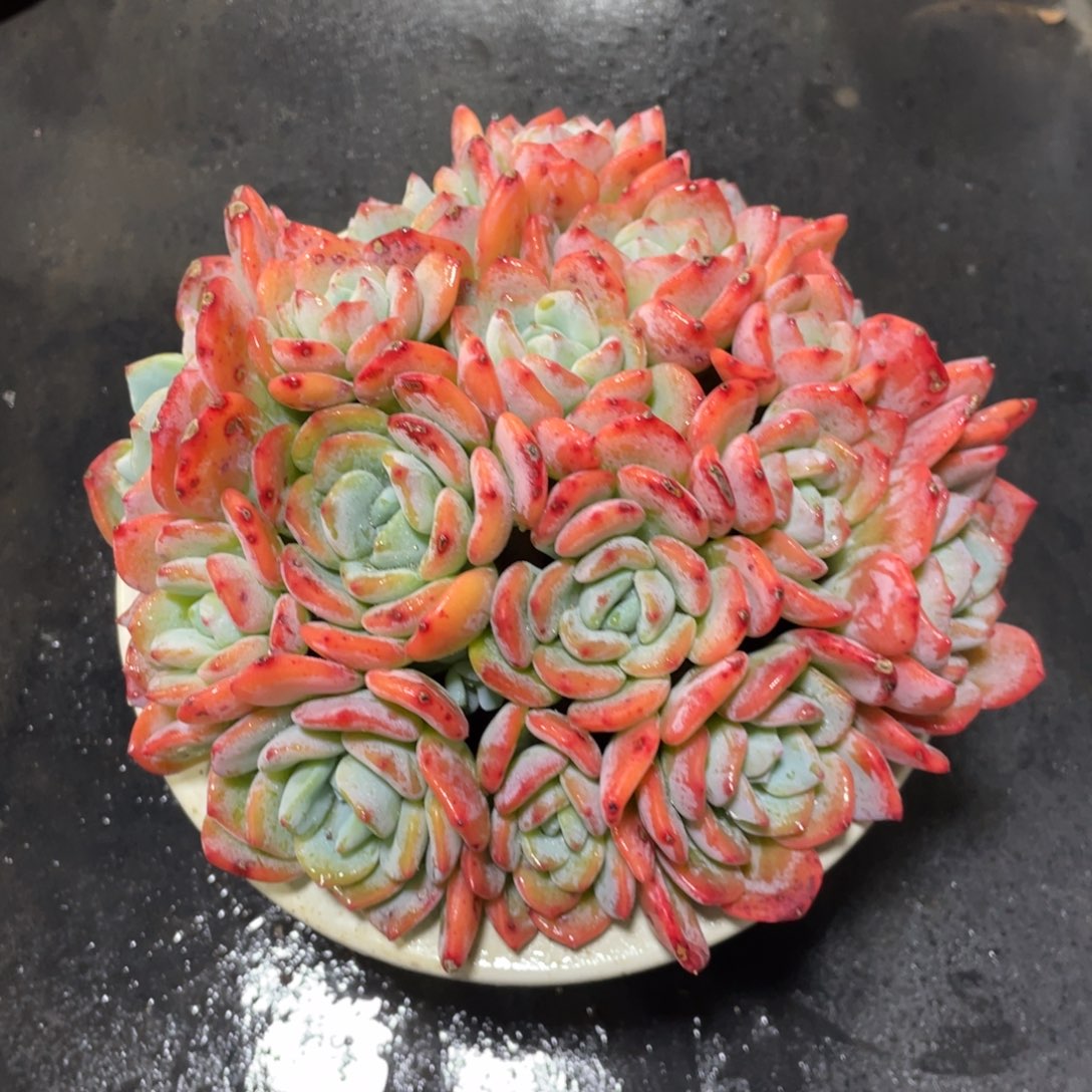 满68包邮发中通快递