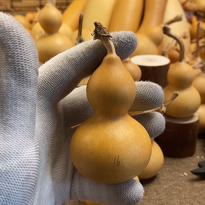 文玩葫芦 完美主义者 慎拍16