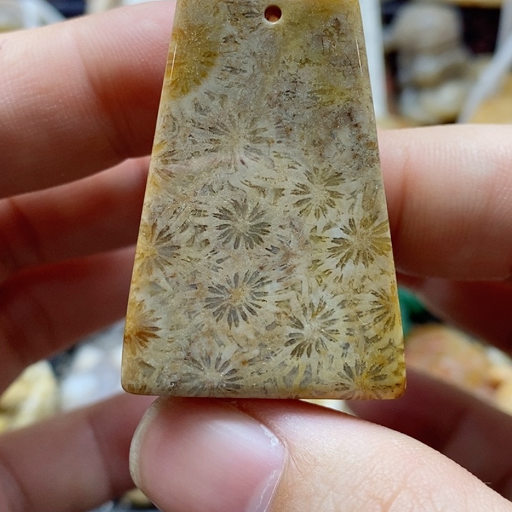 硅化珊瑚（珊瑚玉）颈饰未镶嵌