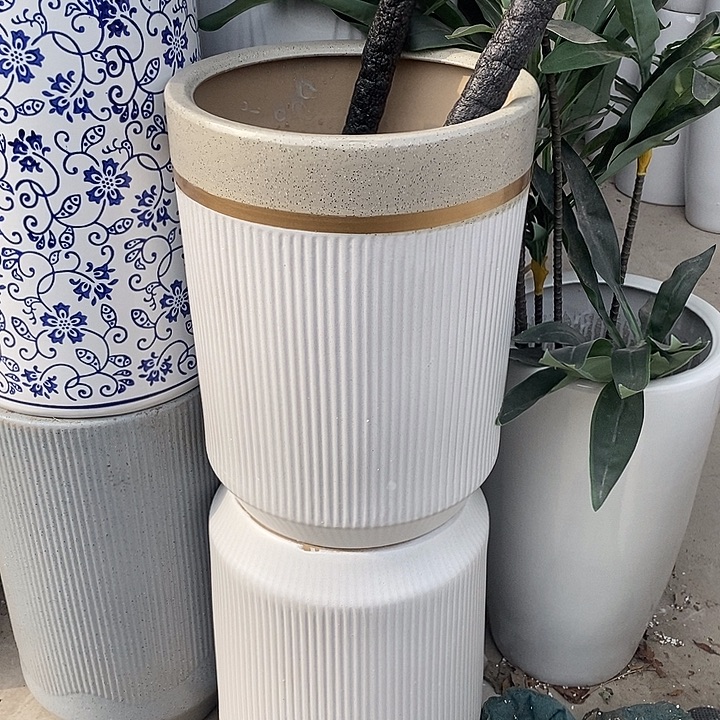 细白绿大号口32高36福利