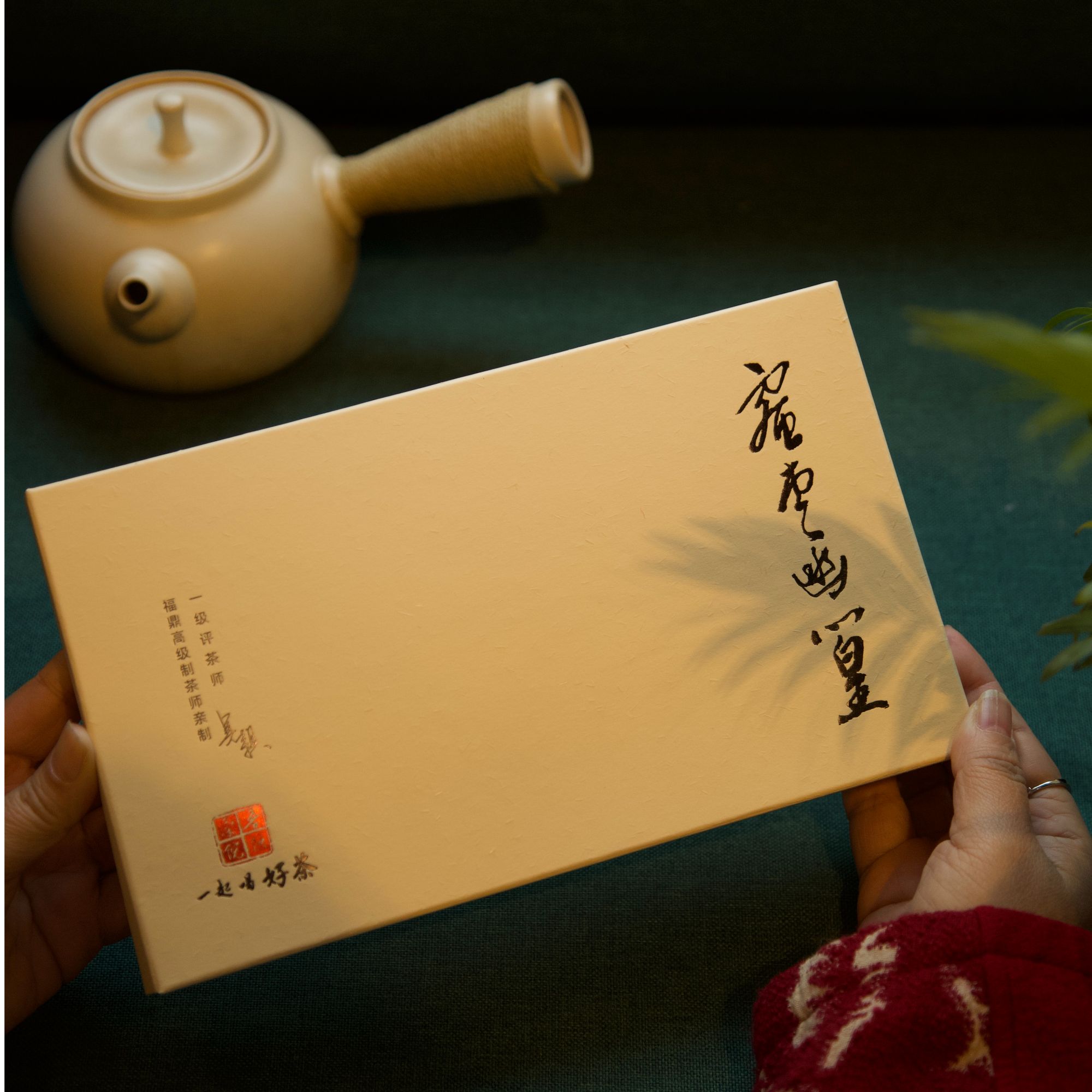 福鼎白茶优质山场管阳高山茶2012年蜜枣香醇厚荒野老白茶
