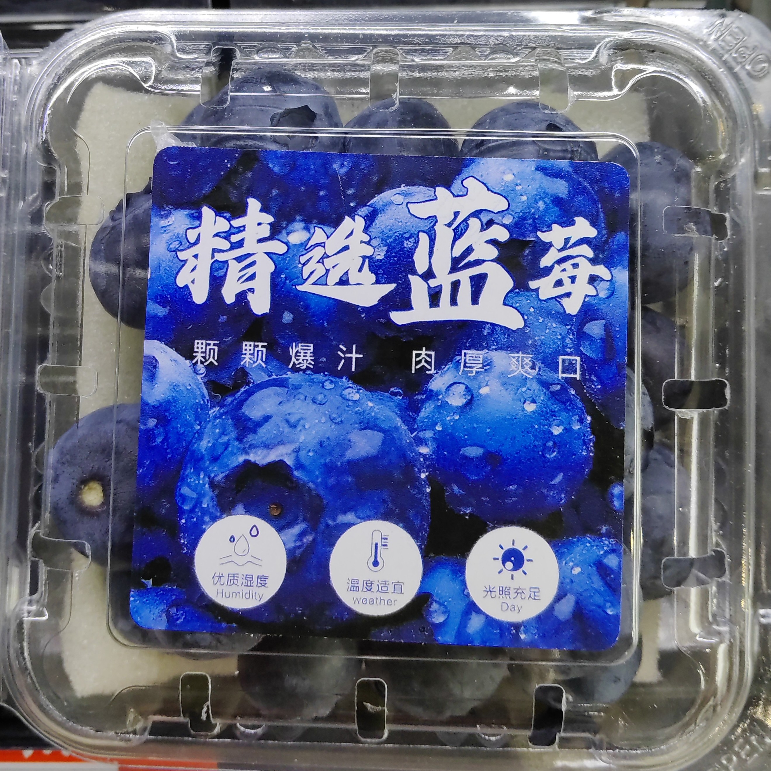 [丹东精选蓝莓]一盒100g（果径10mm左右）