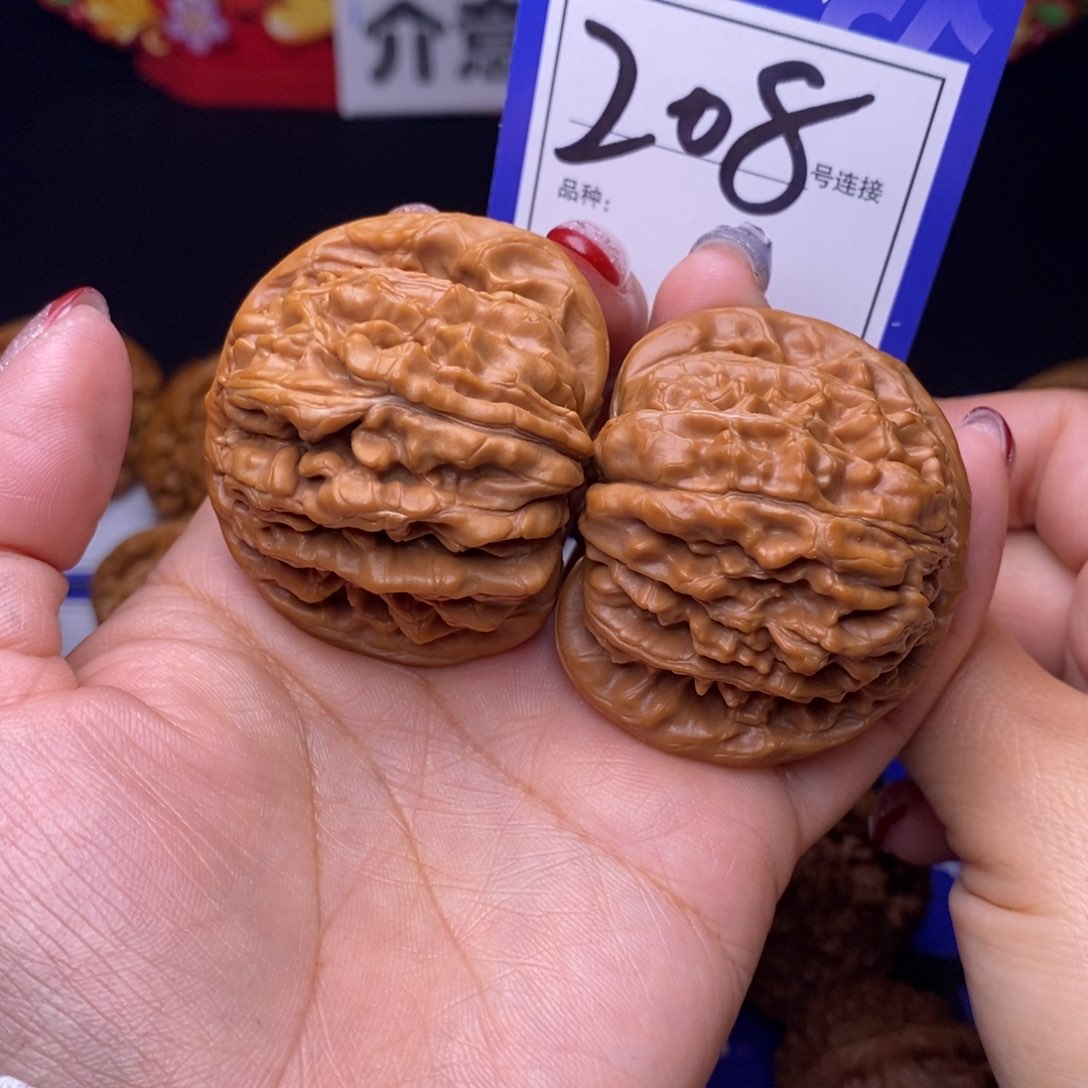 归**海208号链接篓子4.6尺000000