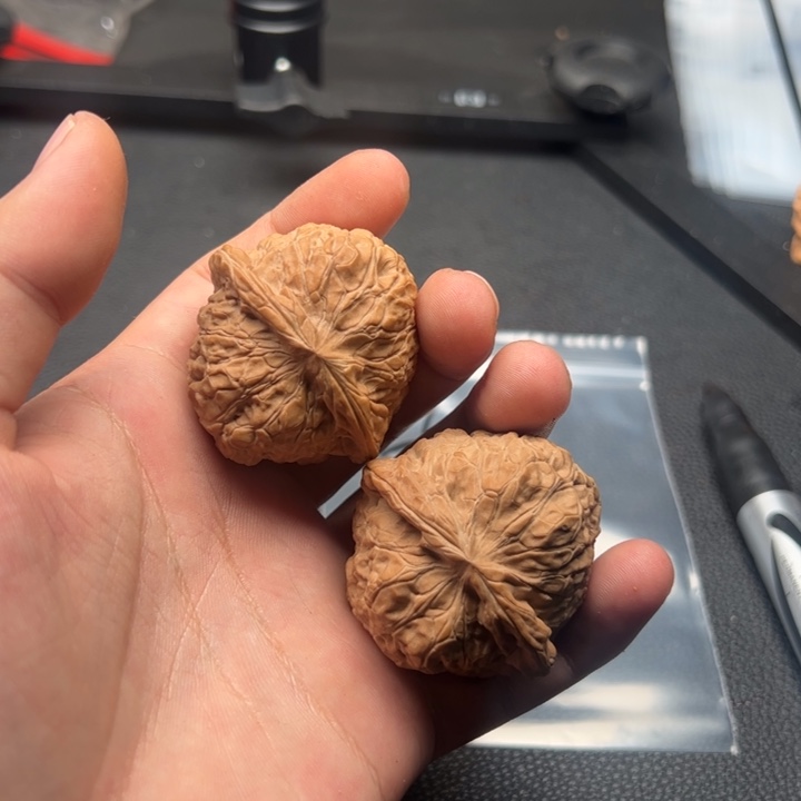 文玩核桃吊坠O*160号核桃