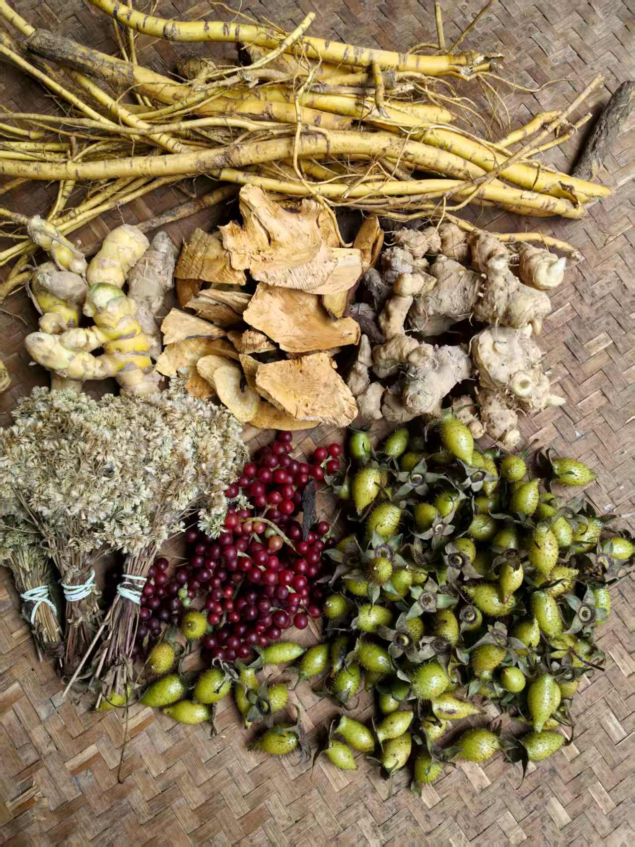 南岩老王新鲜采挖（凉粉籽）（桑根）（姜黄）（金樱子）（金刚藤）（鹿蹄）