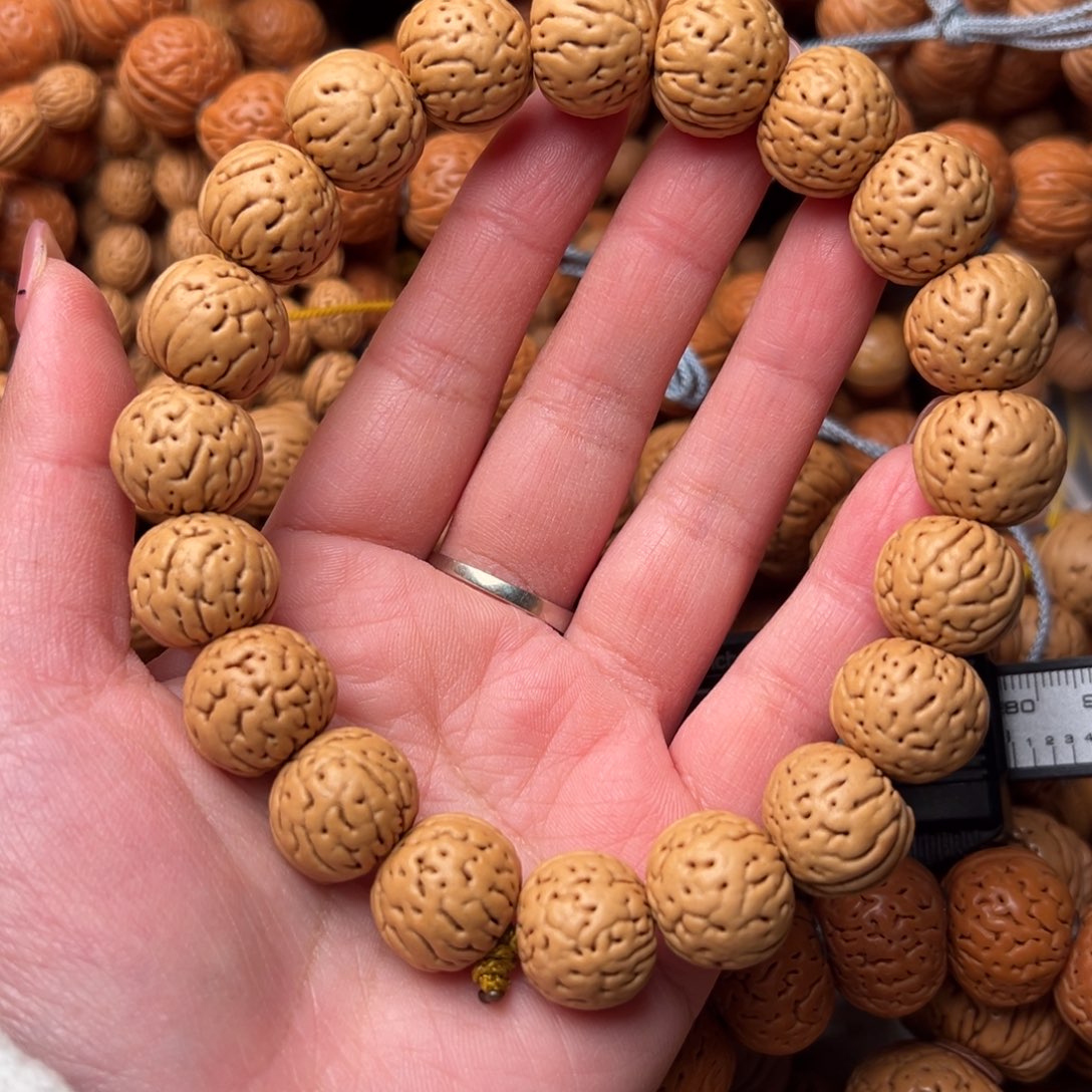 16尺寸金丹桃核手串