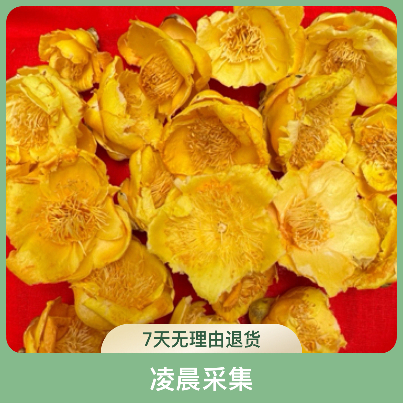 深山好货-精选  金花茶  4