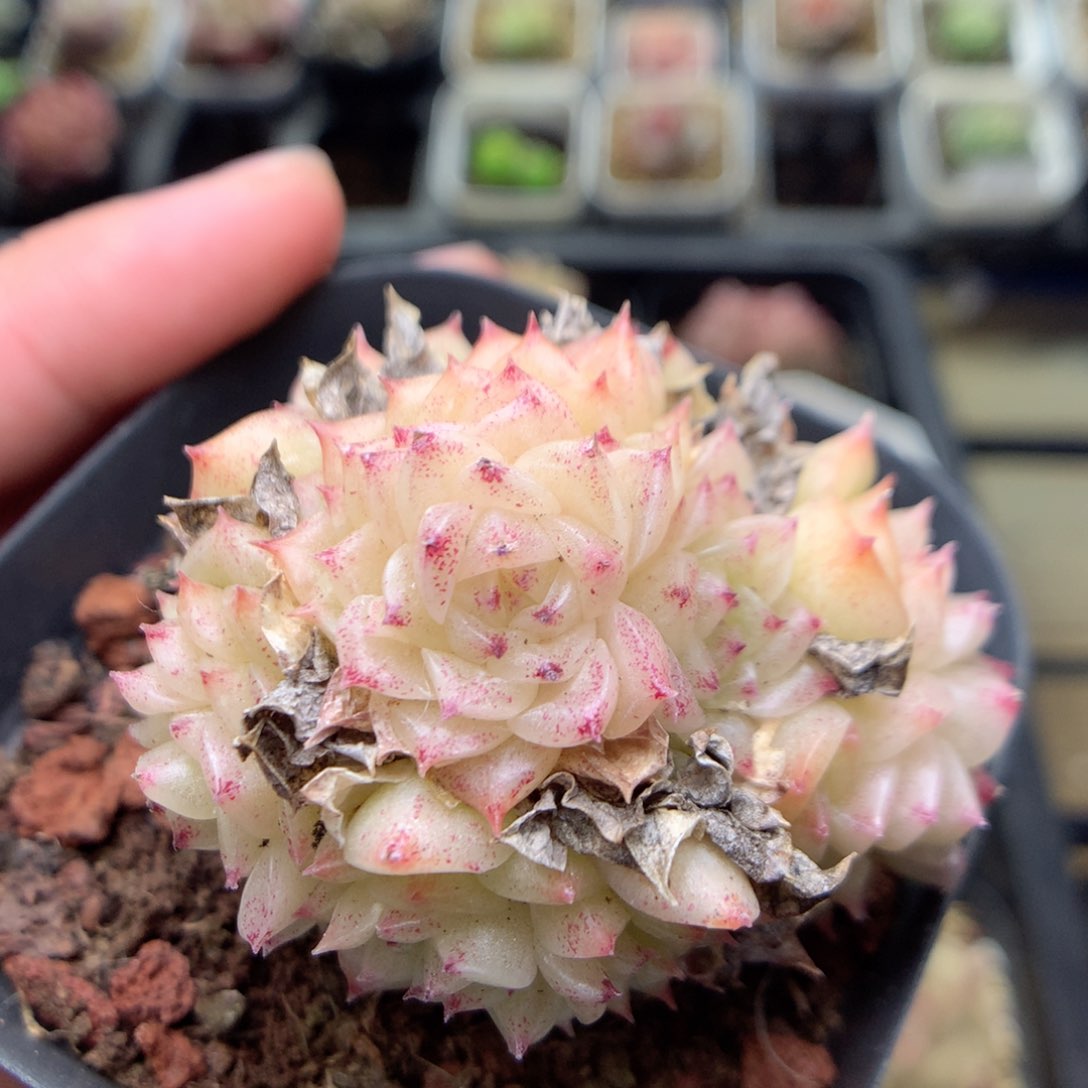 E77y y y y y y y y