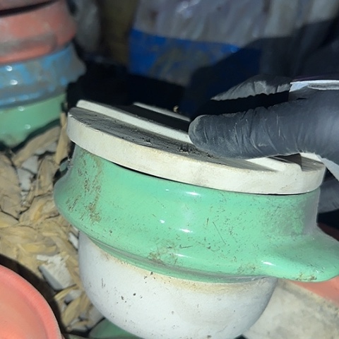 瓷片国营厂库存12厘米