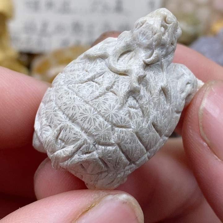 颈饰未镶嵌硅化珊瑚（珊瑚玉）有瑕