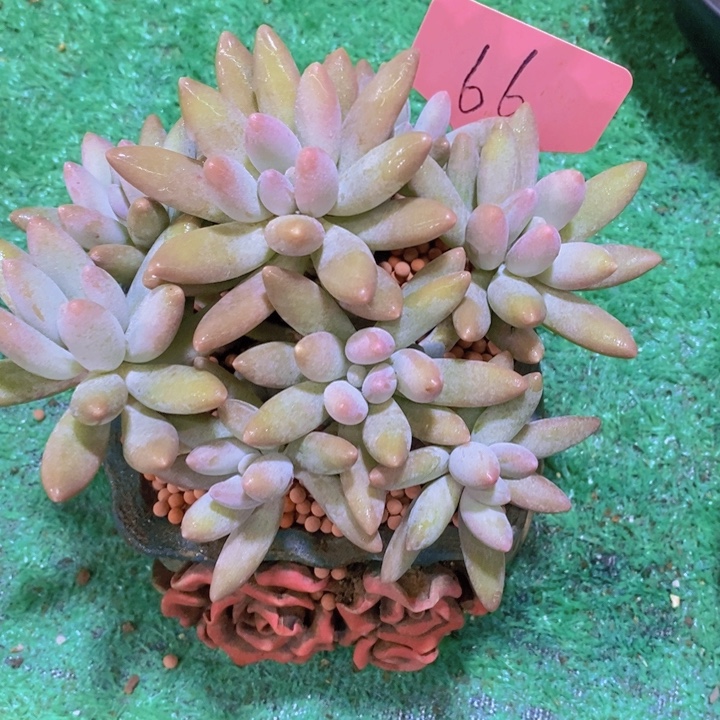 这样做也能有好处呀