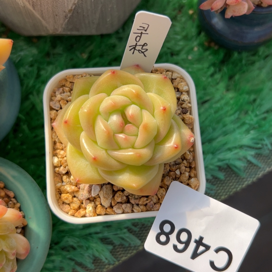 468 满38包邮一物一拍