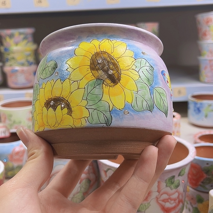 念***念所见所得景德镇红陶泥多肉花盆