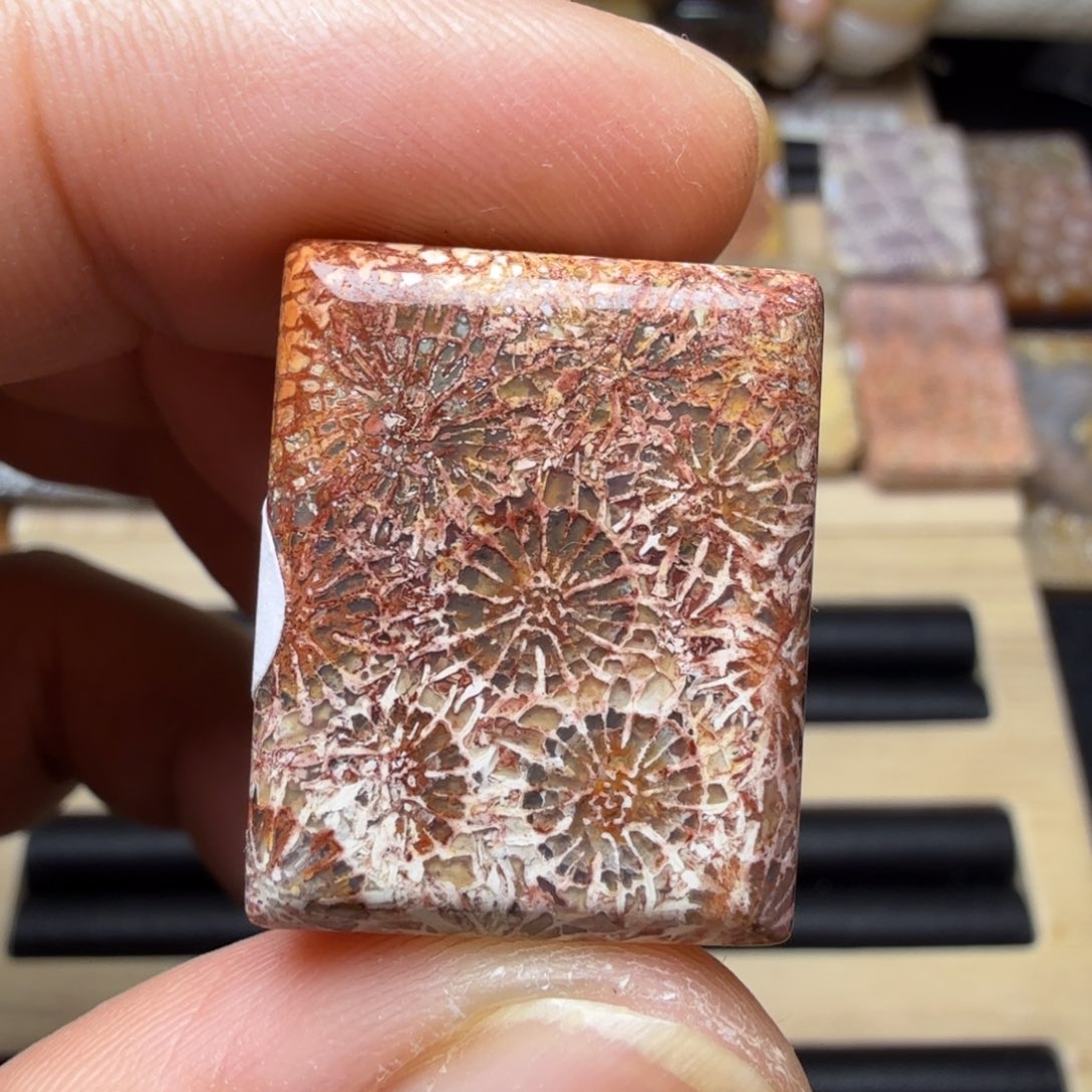 硅化玉未镶嵌纯天然色有机玉石保真色