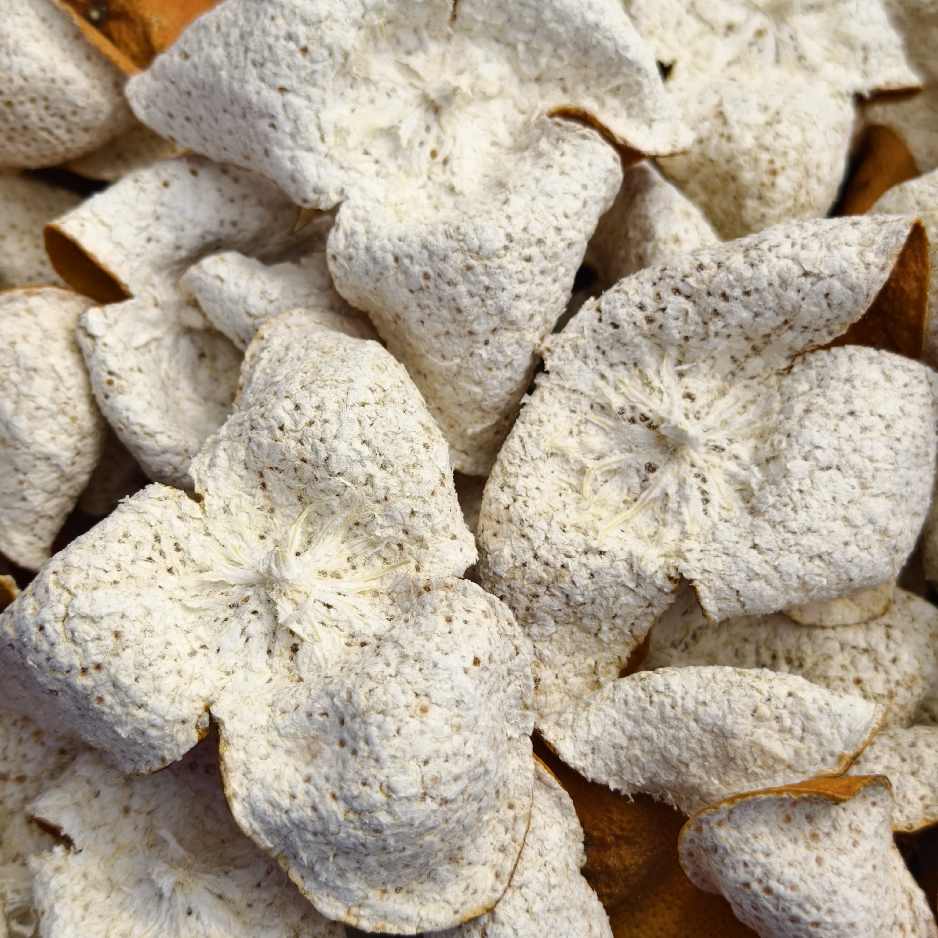 【特惠】2024新会冬后大红皮正宗新会陈皮香气棒油包满