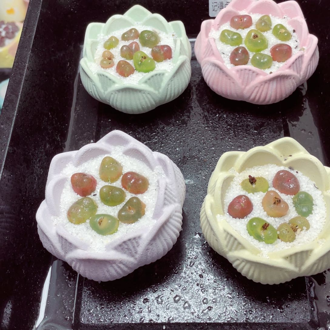 w33333莲花速干盆毛毛一份一盆量拍