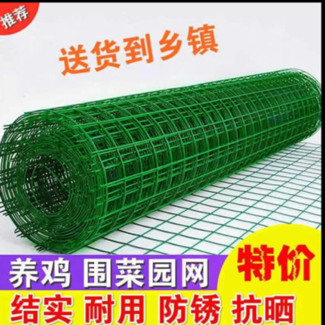 防锈铁丝网围栏养鸡养殖网栅栏防护网菜园圈地网格护栏隔离荷兰网