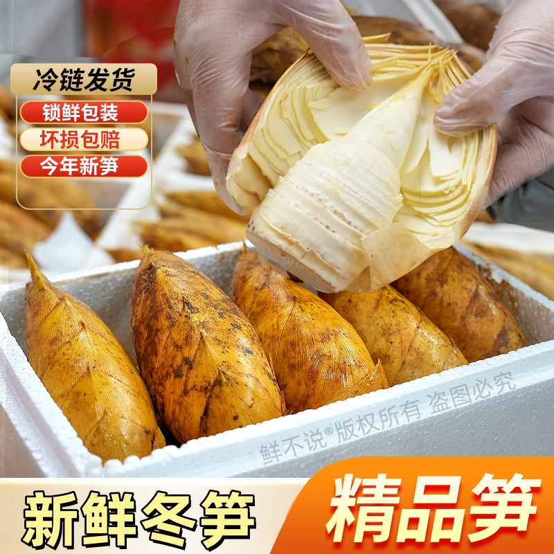 新鲜冬笋去老根高山黄泥拱两头尖楠竹笋冬笋肉福建浙江应季蔬菜