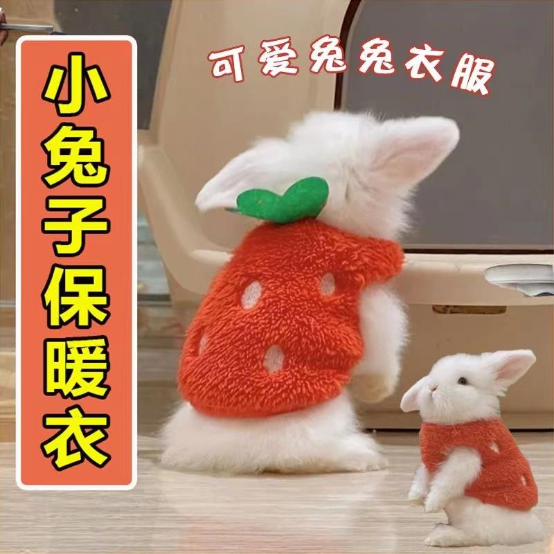 W兔子衣服背心保暖垂耳兔子用品侏儒兔子成年宠物幼兔可爱保暖秋
