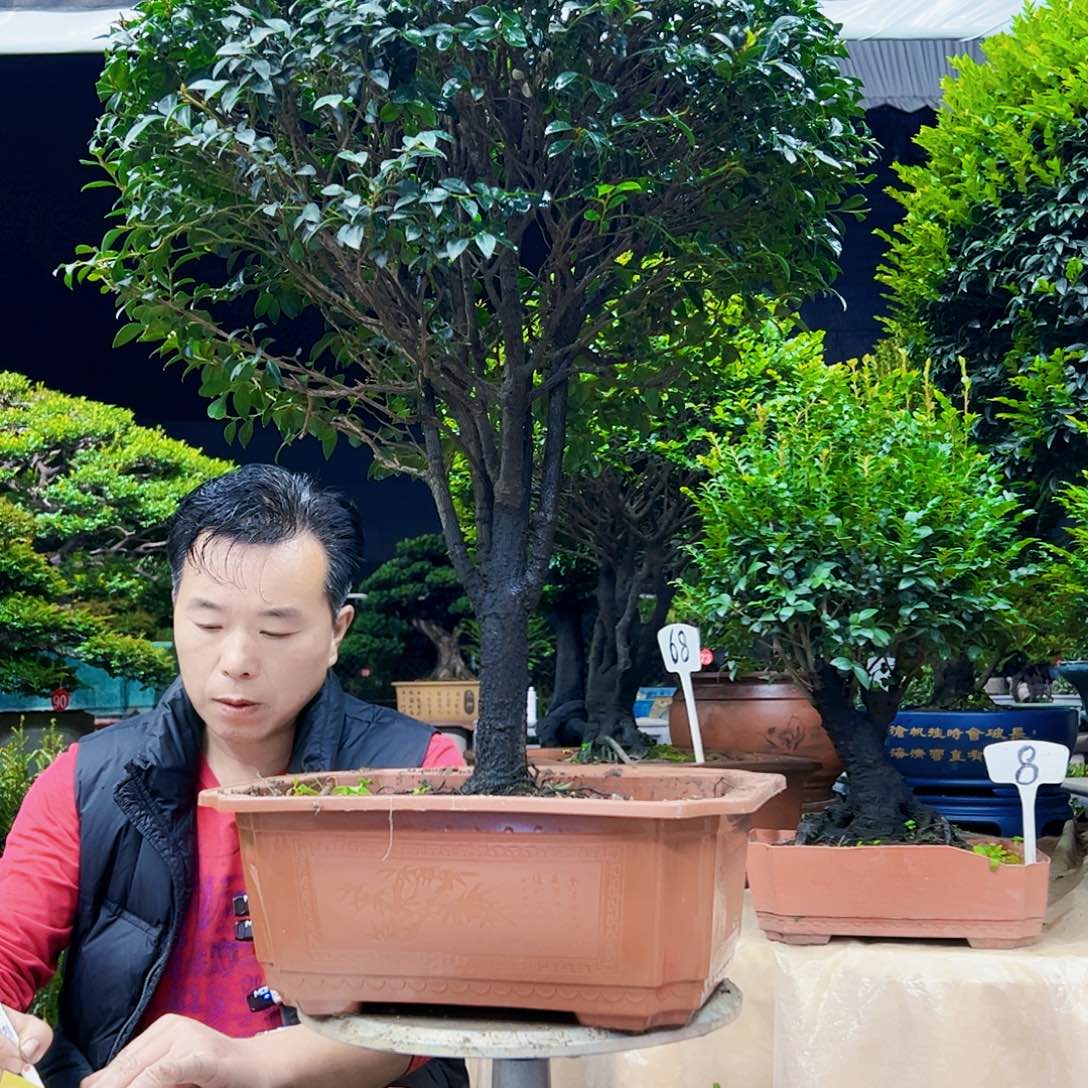 以实际为准宗*12345679