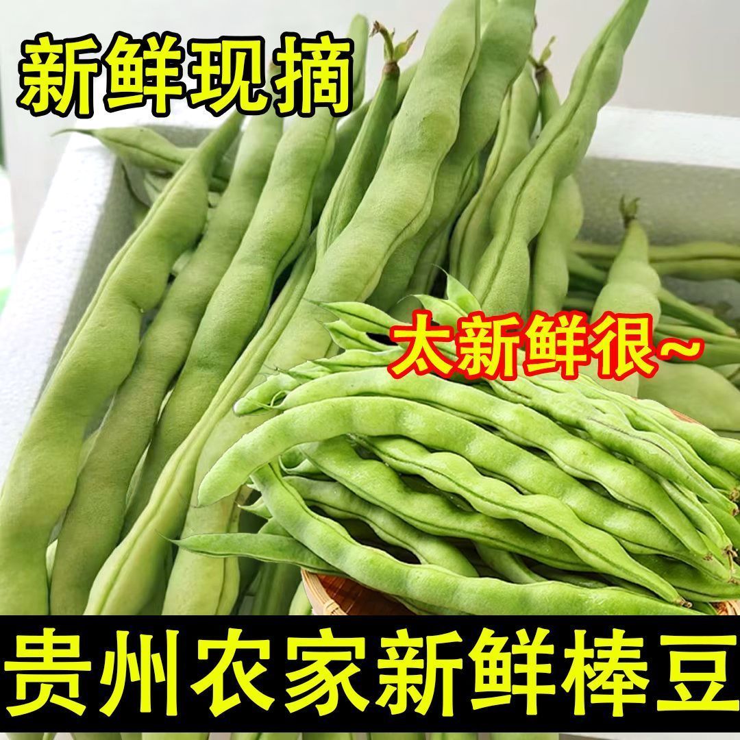 贵州农家新鲜棒豆四季豆芸豆豆角自种扁豆刀豆现摘蔬菜时令蔬菜