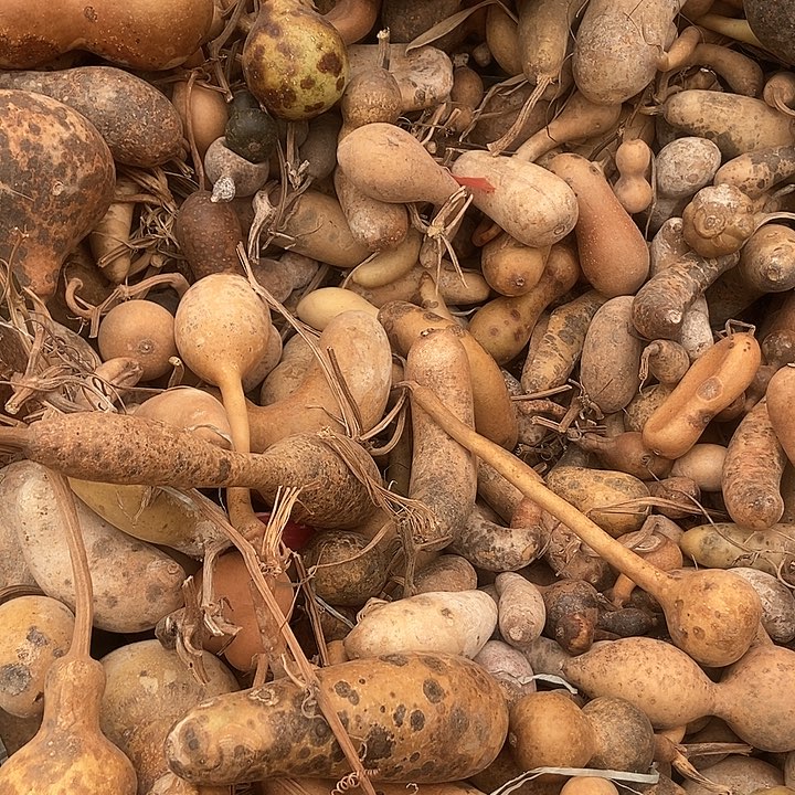 暮***霜直播间里的拍品链接