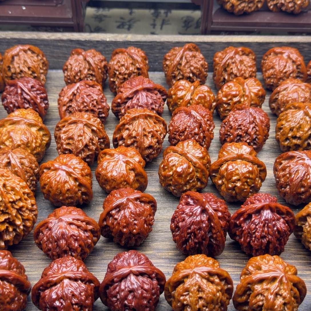 菩提籽类元宝宝贝宝贝