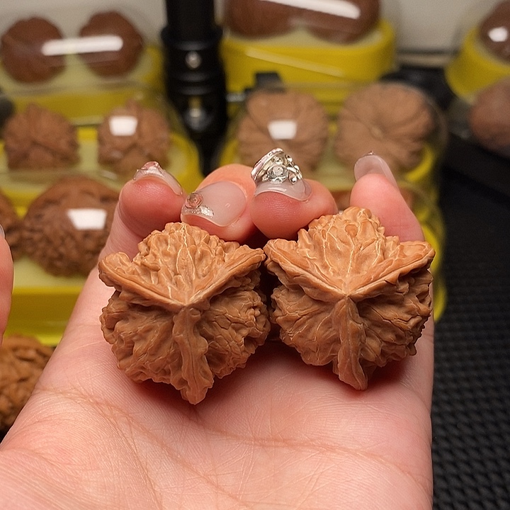 天然正奔散了    35