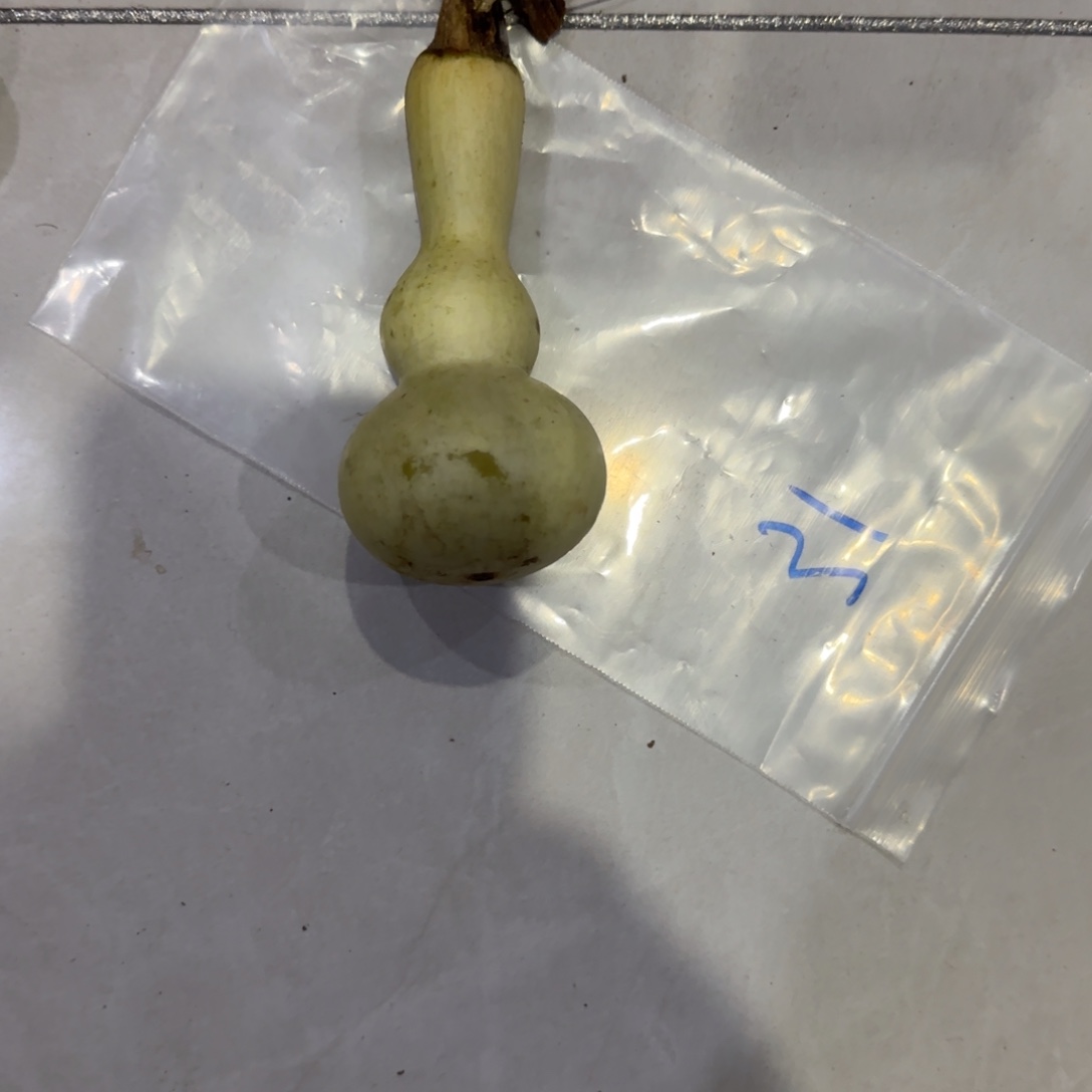 辫***城青皮不包成青皮不包成