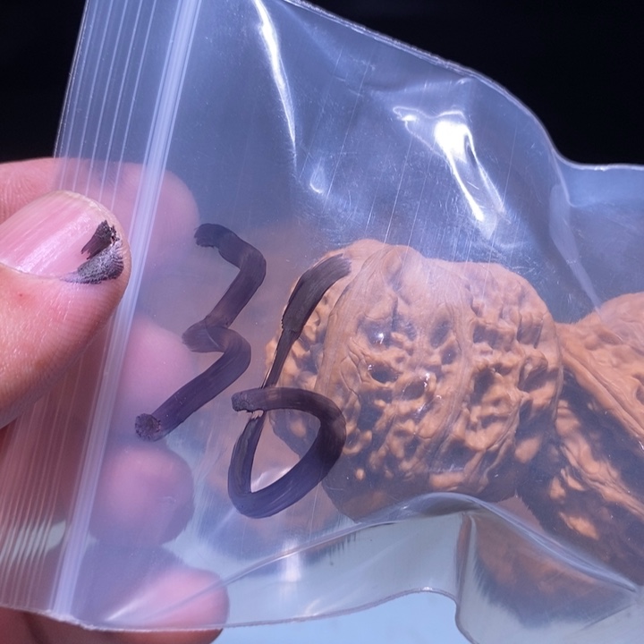 文玩核桃把件牧*人36呃呃呃