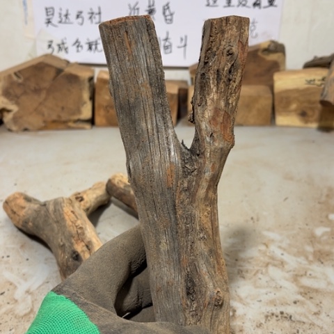 大果紫檀（缅甸花梨）堂*