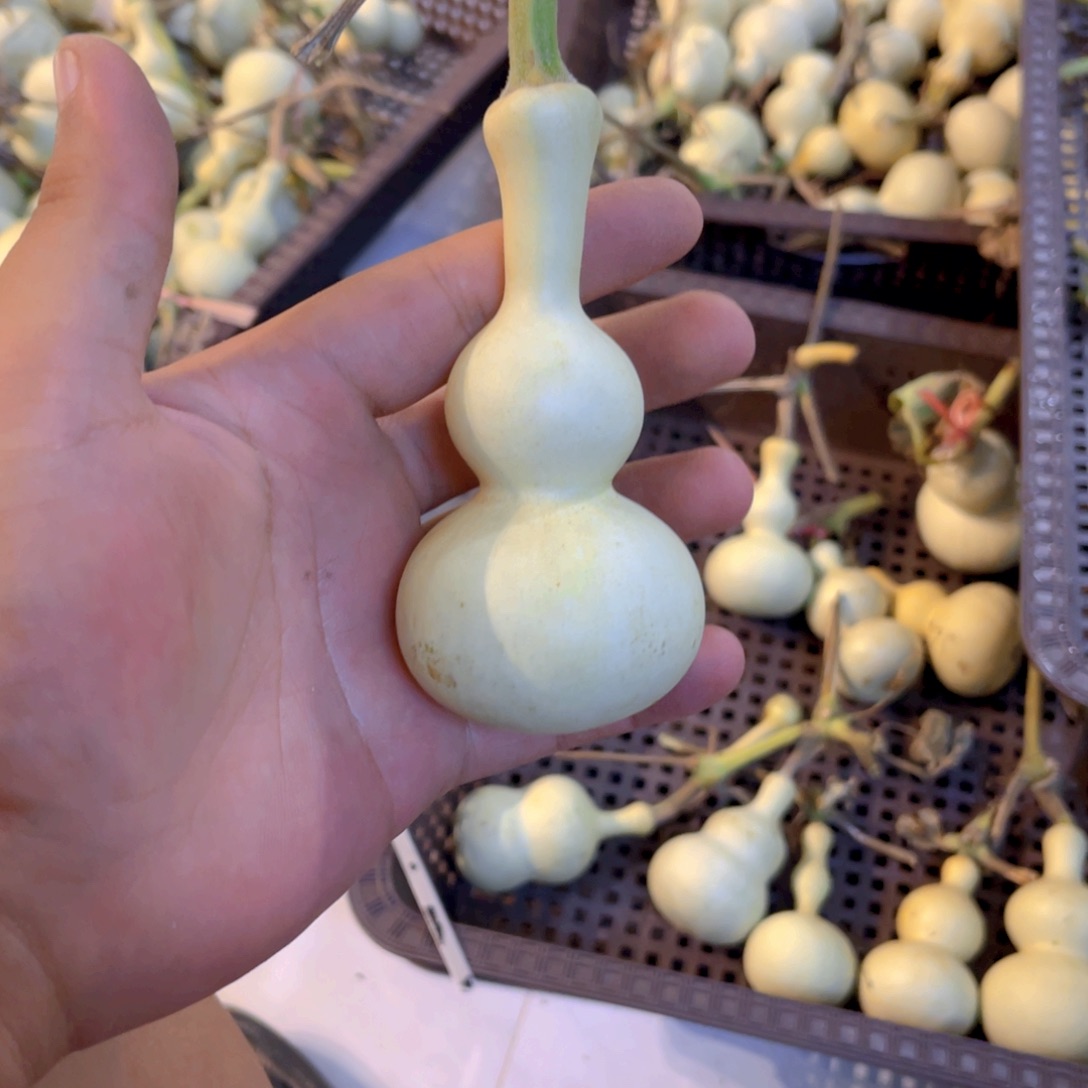 耳***东感谢大哥支持兄弟