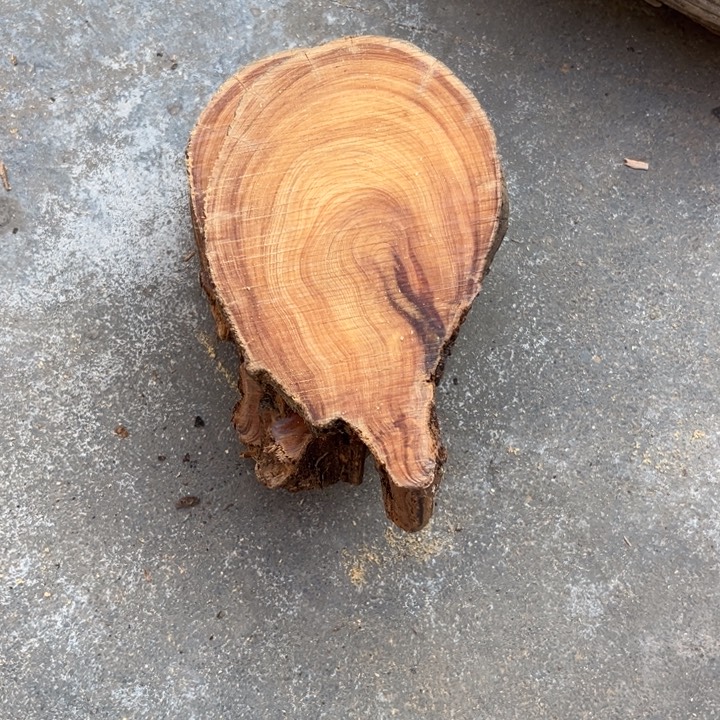 F***t柏木南太行崖柏切片