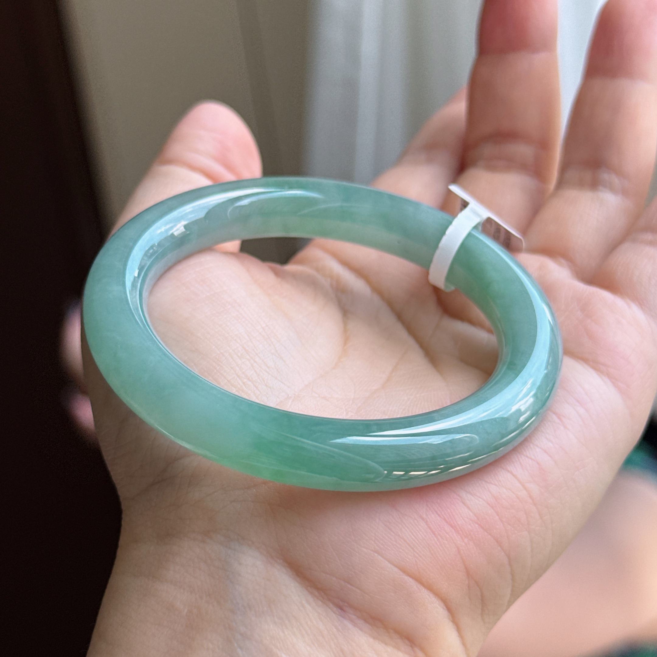 湖光山色满色圆条翡翠手镯54圈口2405074YFR