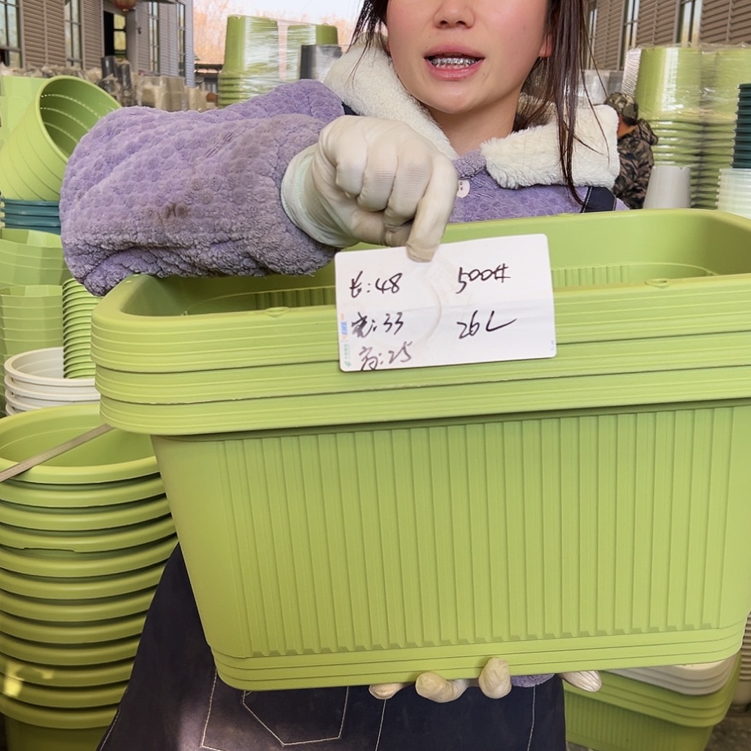 菜盆500#果绿3个无托