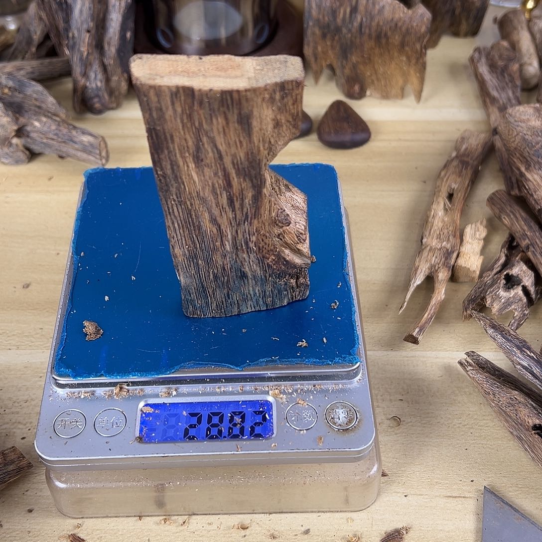 香料绿棋楠虫漏28克乌身