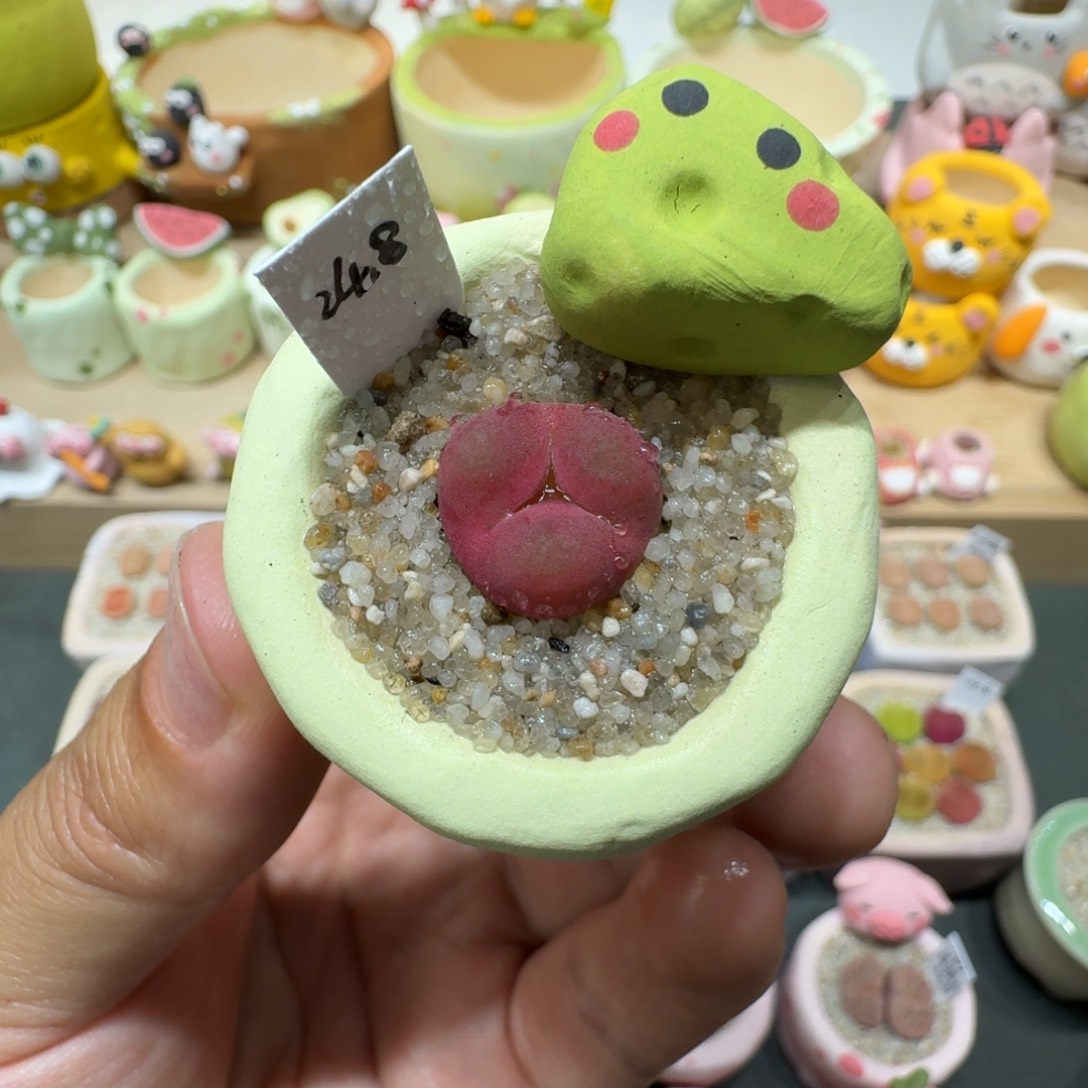蘑菇269蟠桃蟠桃