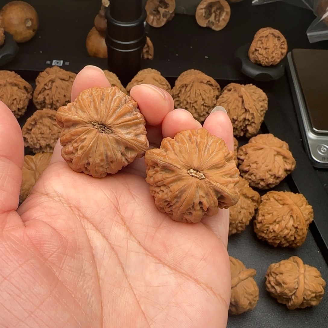 橙****37尺全品无修铁锤