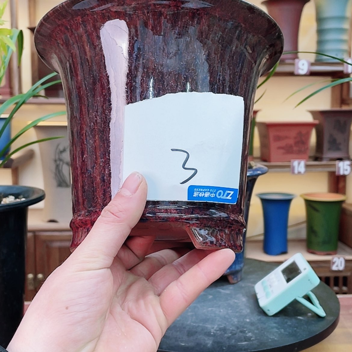 【闪购商品】紫砂花盆小***王兰花855585585558556698