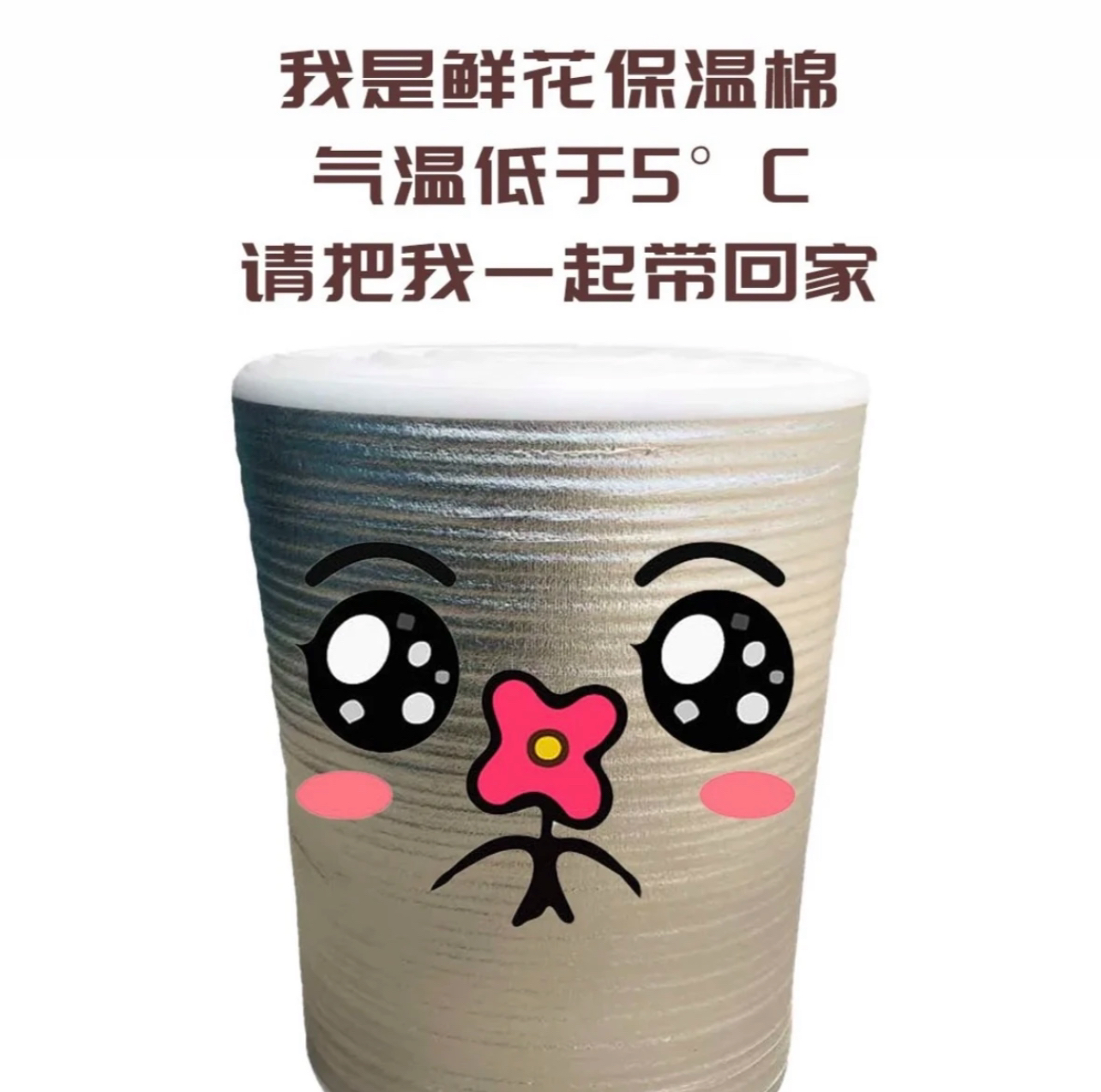 鲜花保温棉  天气5度以下需拍  