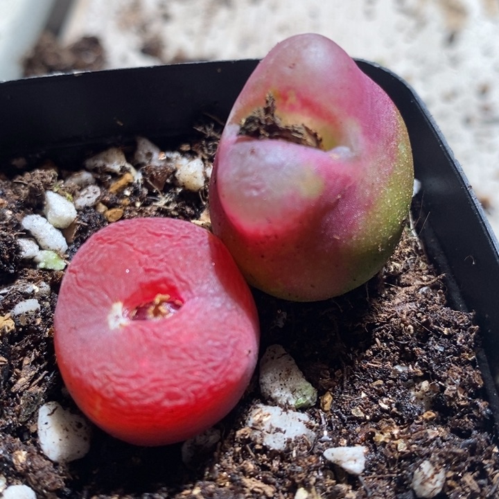 26213一组一组一组