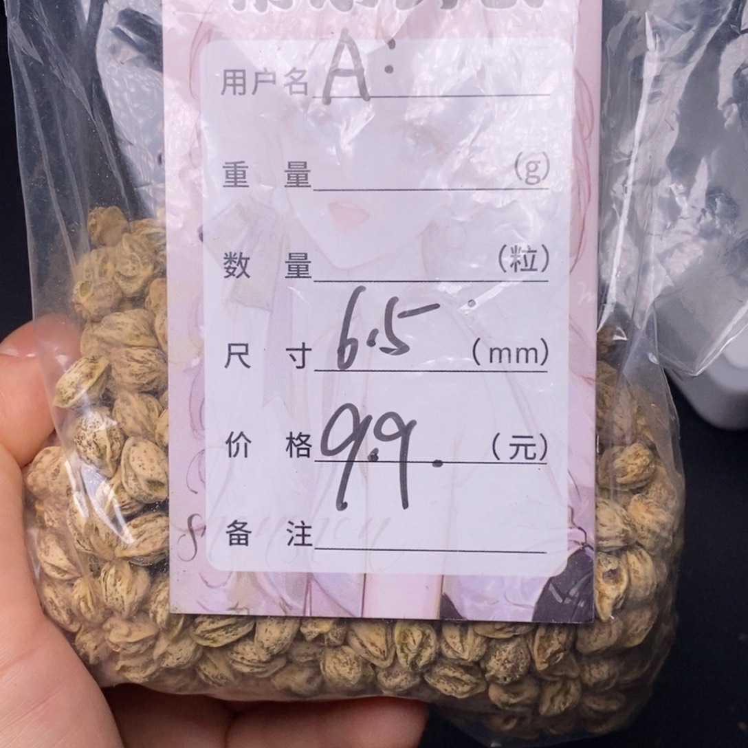 A***.柏香籽/百香籽吊坠