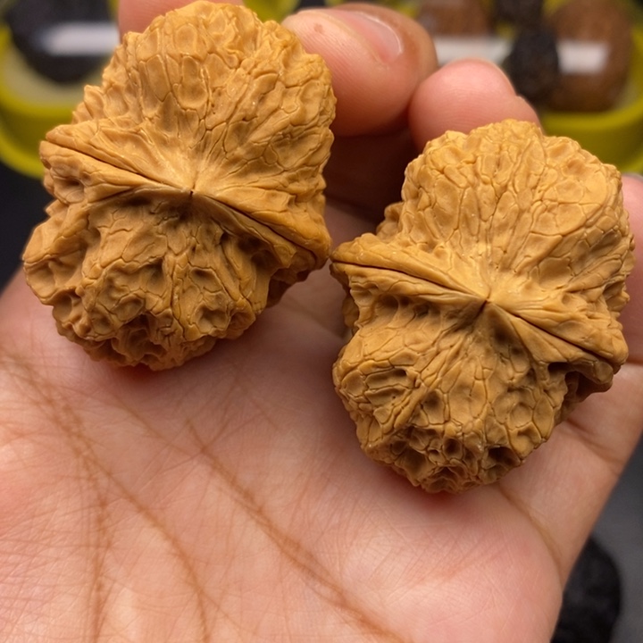 把件文玩核桃43尺麒麟元宝