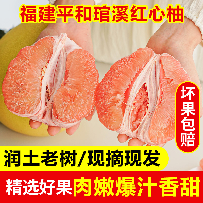 【礼盒装】正宗福建平和红心蜜柚红肉柚子 孕妇当季新鲜水果4-8.5斤